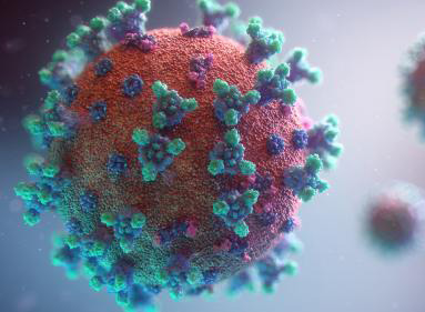A closeup image of the Coronivirus